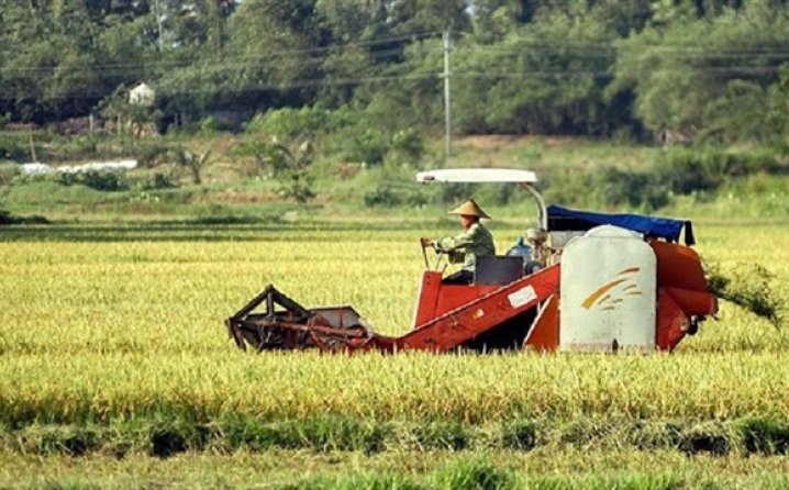 Kineski arheolozi otkrili polje riže staro 8.000 godina