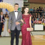 gimnazija matura (131)