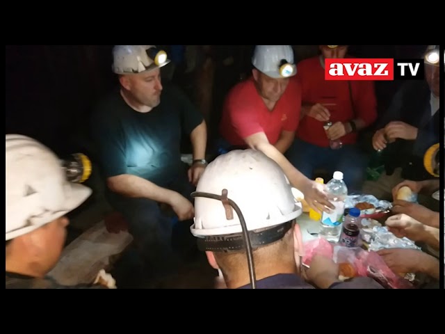 VIDEO / Komorati u Brezi: Rade krvav posao, a poste s lakoćom
