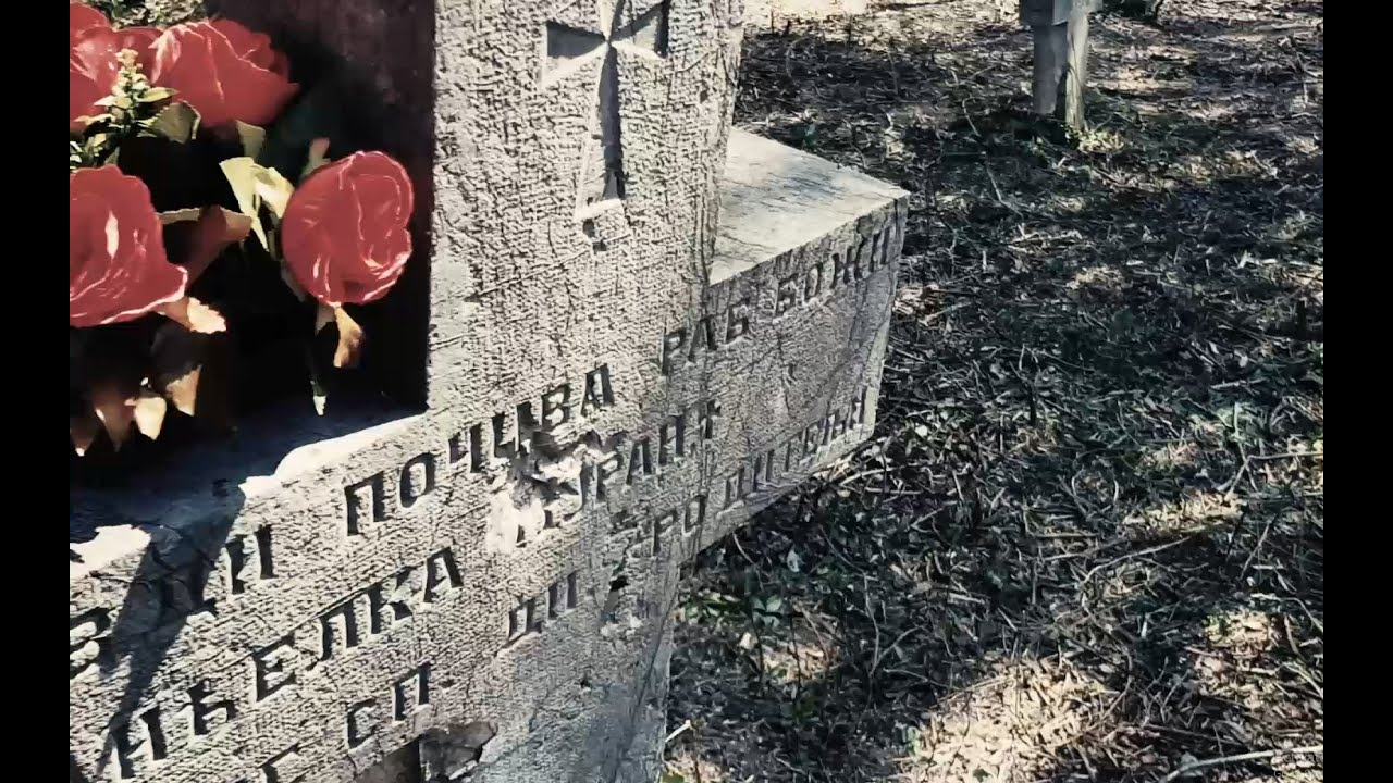 (VIDEO) Dr. Semir Osmanagić sa ekipom Fondacije APBPS očistio zapušteno pravoslavno groblje u Sarajevu