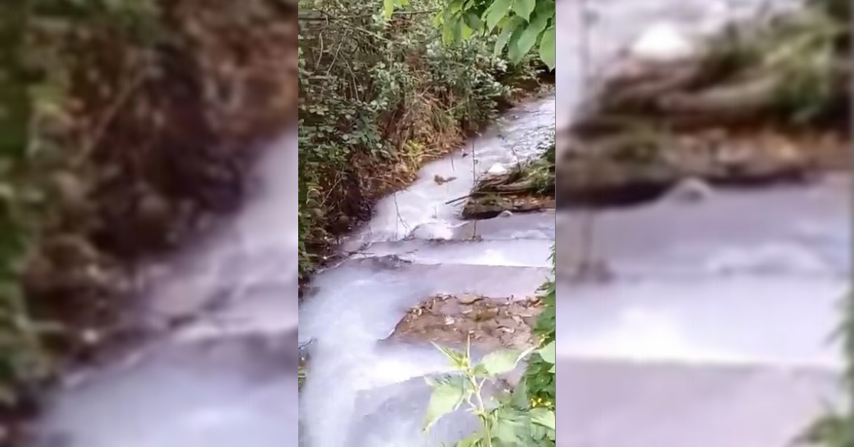 (VIDEO) Potok koji mijenja boje u Goduši: Da li je visočki vodovod ugrožen zbog bijele vode?