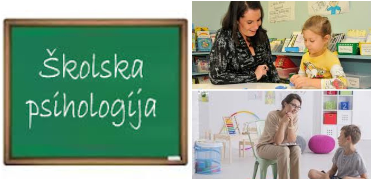 Psiholozi u osnovnim i srednjim školama Zeničko-dobojskog kantona