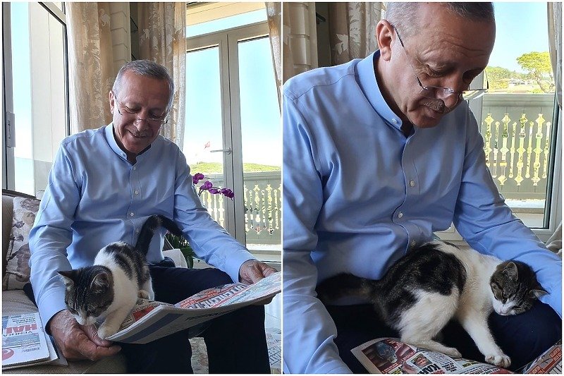 Turski predsjednik Erdogan pokazao umiljatu mačku koja ga ometa u čitanju novina