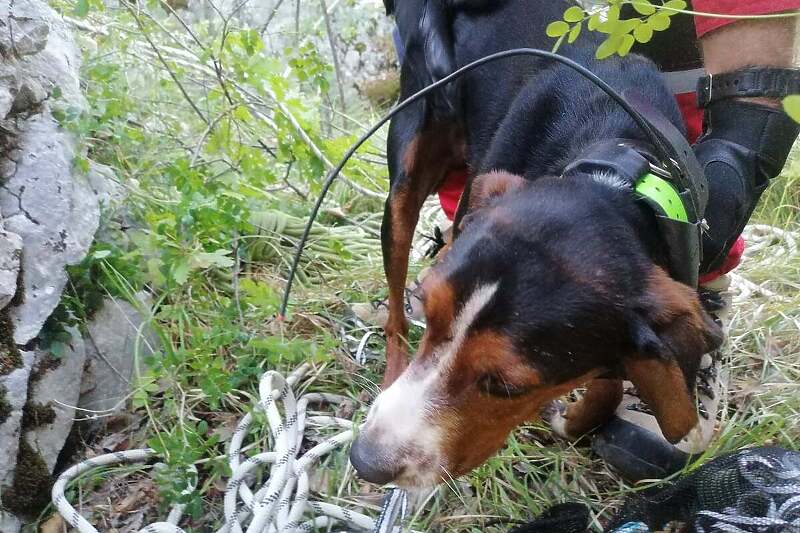 Mostarci spasili psa koji je upao u jamu doboku 20 metara