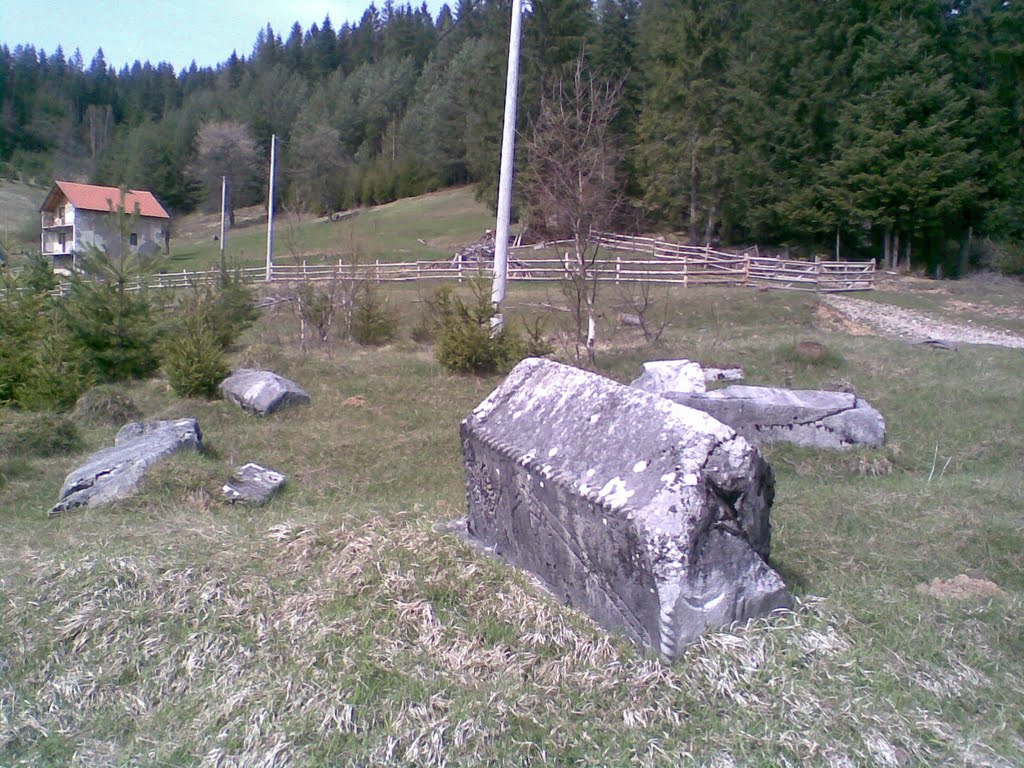 Spomenici srednje Bosne: Na području Vareša gotovo svako naselje ima svoju nekropolu stećaka