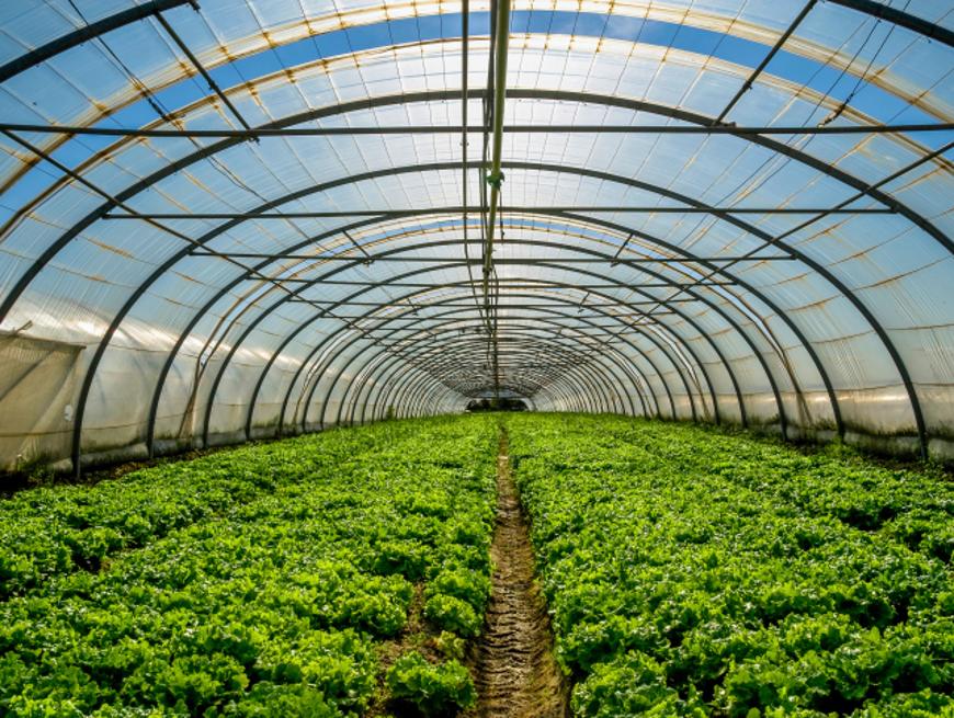 Gradska uprava Visoko: Prijava plana proizvodnje za 2022. godinu
