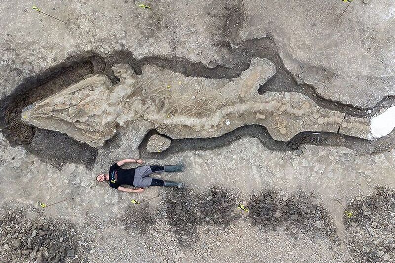 Ogromni fosilizirani “morski zmaj” pronađen u Engleskoj