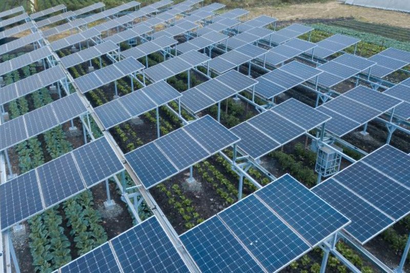 Kenija testira nove solarne panele koji će proizvoditi energiju i osigurati hranu