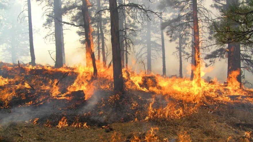 Apel građanima na veću odgovornost radi prevencije šumskih požara