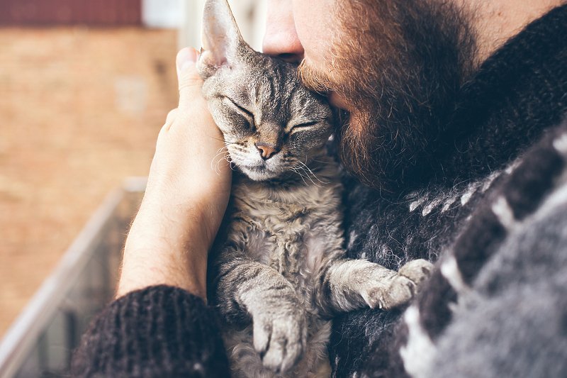 Mačke mogu prepoznati ime svoga vlasnika i drugih ljubimaca u njihovoj okolini