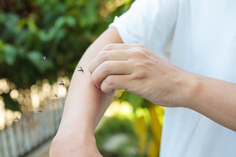 Kako najbolje tretirati ubod komarca da biste ublažili svrbež