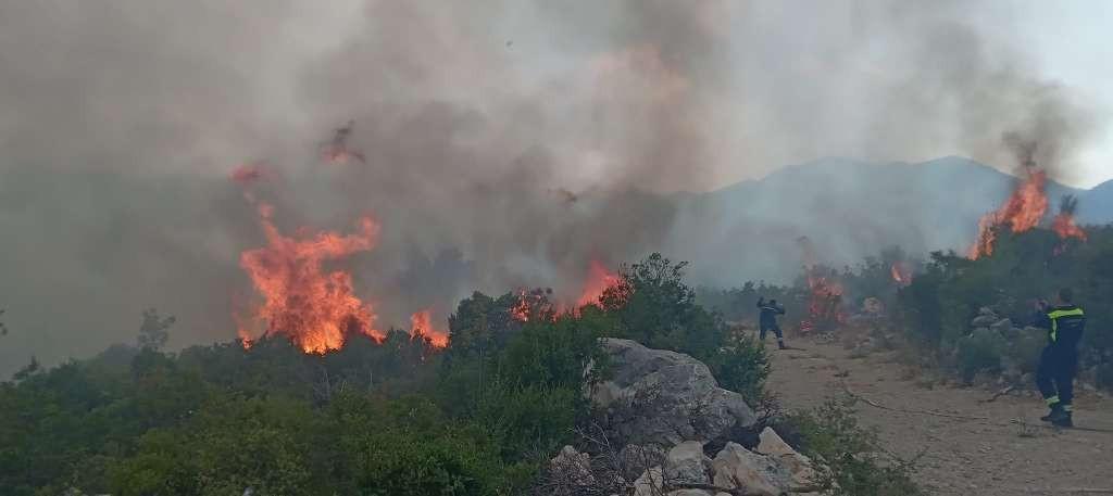 U Neumu svo ljudstvo na požarištu, očekuje se pomoć helikoptera OS BiH
