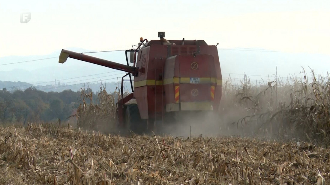 Suša uzela danak, poljoprivrednici traže proglašenje elementarne nepogode