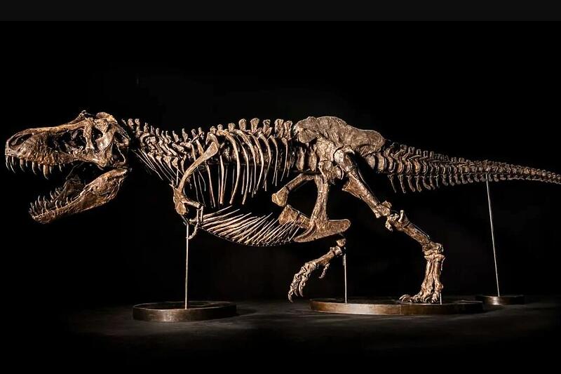 Skelet tiranosaura će biti prodan na aukciji u Hong Kongu