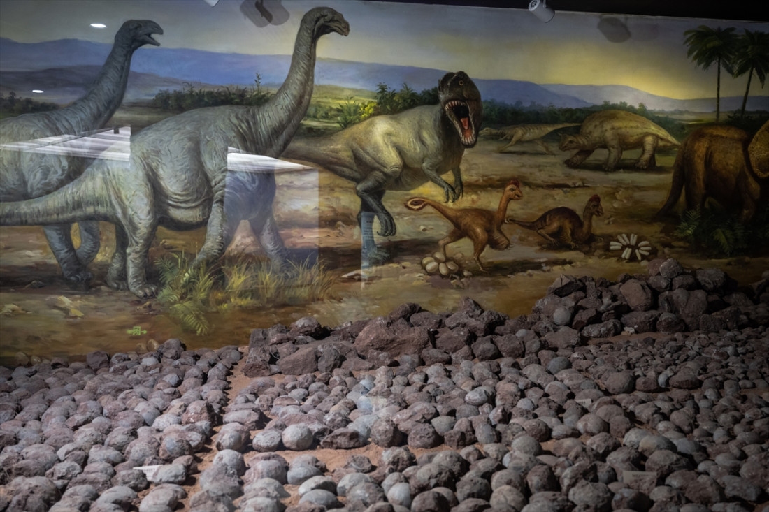 U kineskom muzeju izloženo skoro 20.000 fosiliziranih jaja dinosaurusa