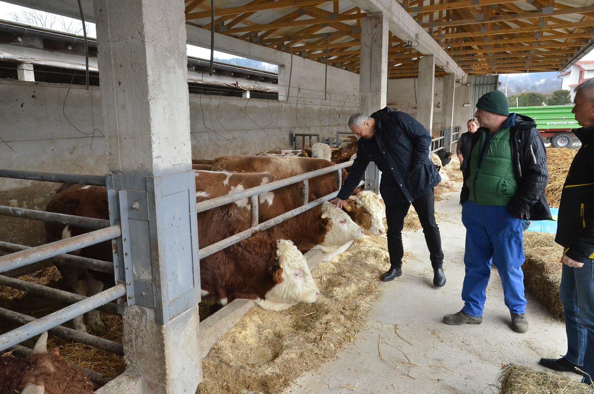 Ministar Marić posjetio uzgajivače goveda u Zavidovićima, Žepču i Maglaju