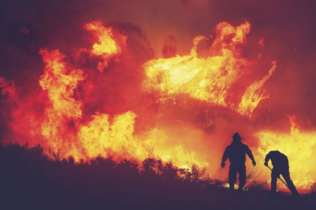 Četinarske šume mogle bi biti ‘tempirana bomba’ za daljnje zagrijavanje planete Četinarske šume mogle bi biti ‘tempirana bomba’ za daljnje zagrijavanje planete