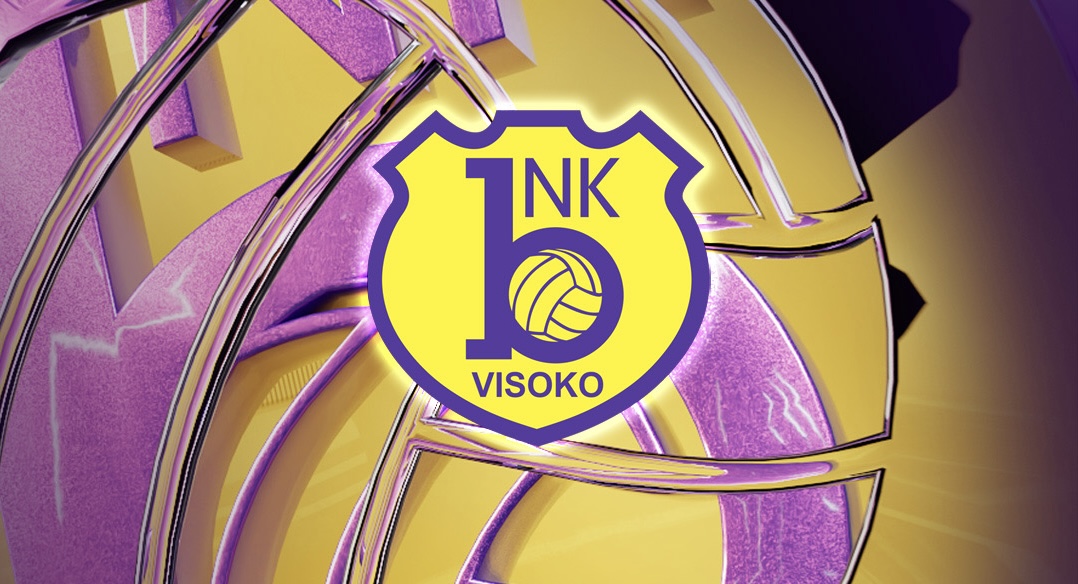 NK Bosna / logo