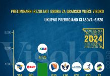 Infografika // Lokalni izbori 2024